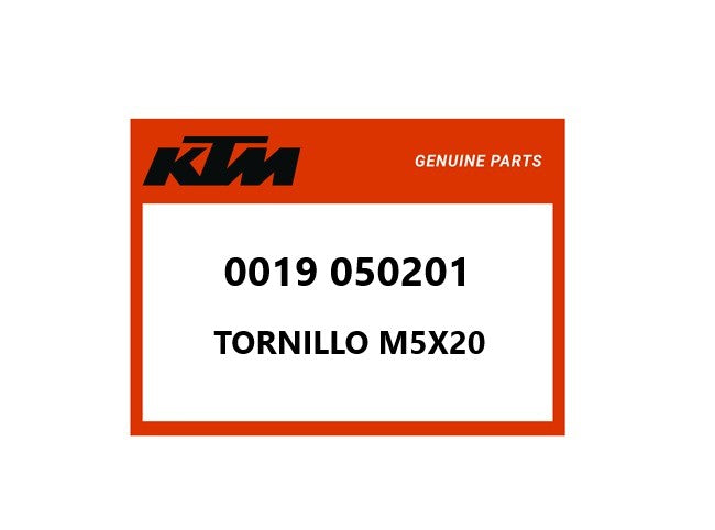 TORNILLO M5X20 - 0019 050201