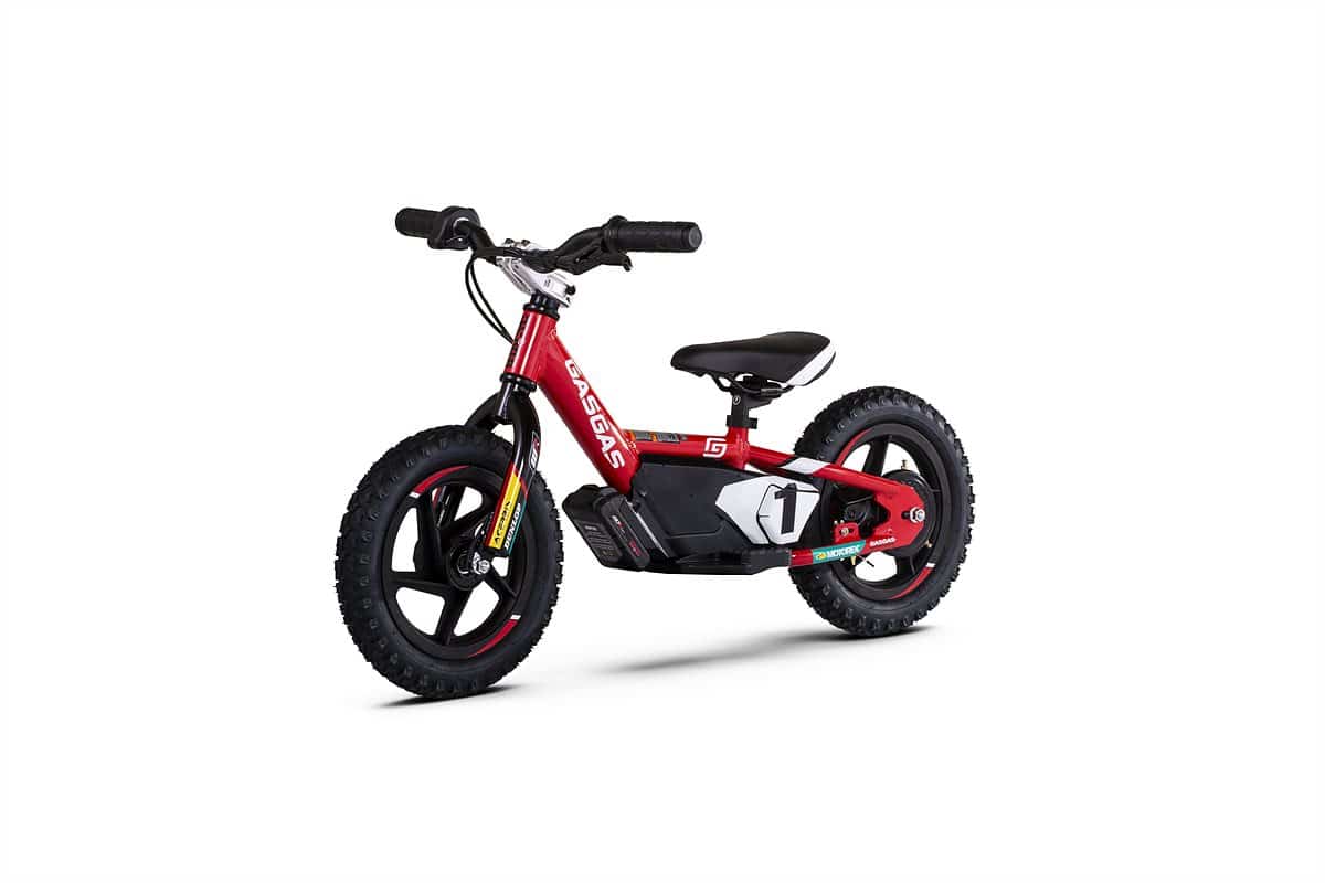 Bicicleta eléctrica para niños E-B 22 1.0 ADV AL 12